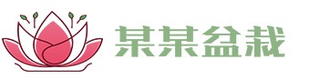 爱游戏ayx官方网页_爱游戏(中国)